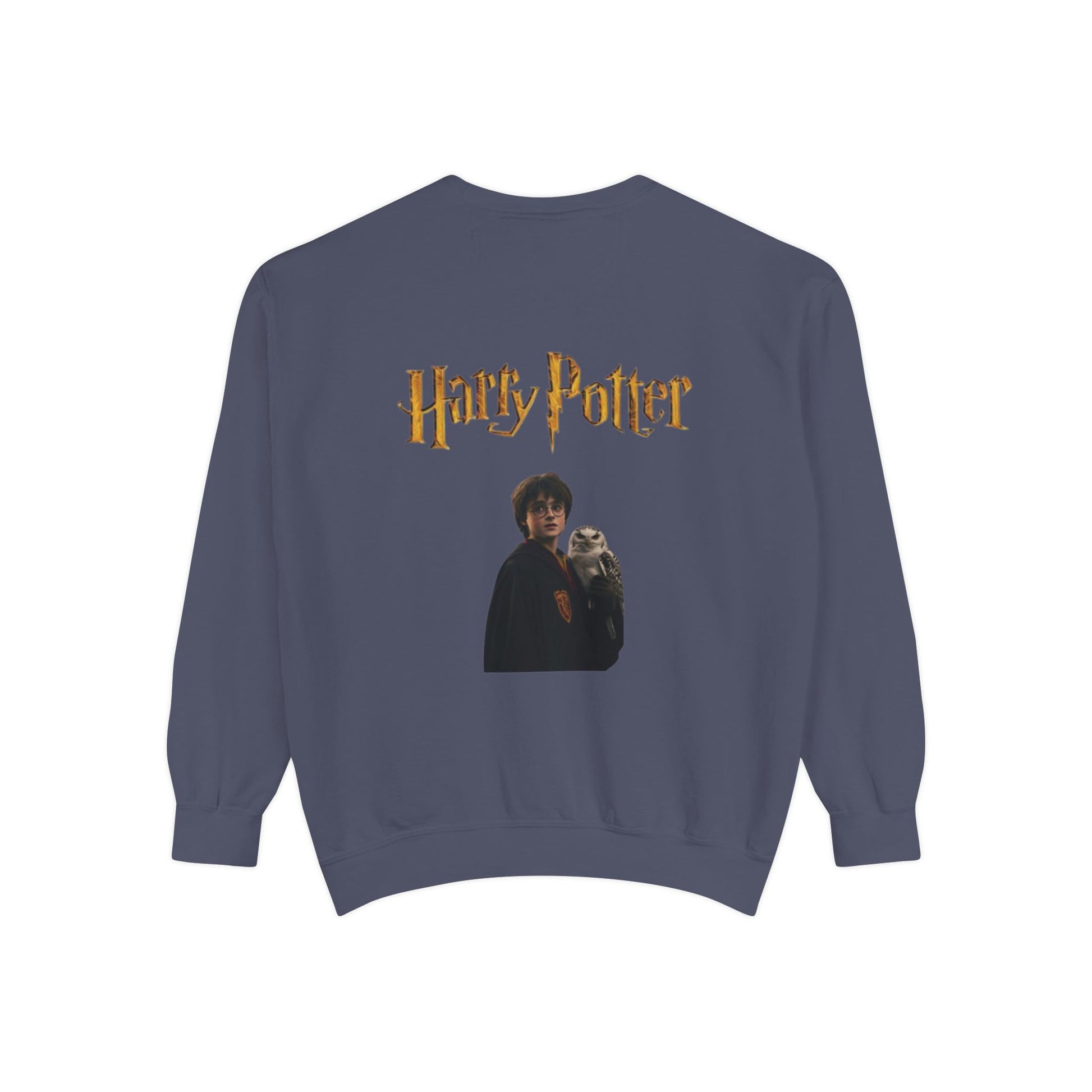 Harry Potter Unisex Sweatshirt, Cozy Sweatshirt, Gift for Potterheads, Movie Merch, Casual Wear, Layering Piece, Fan Apparel