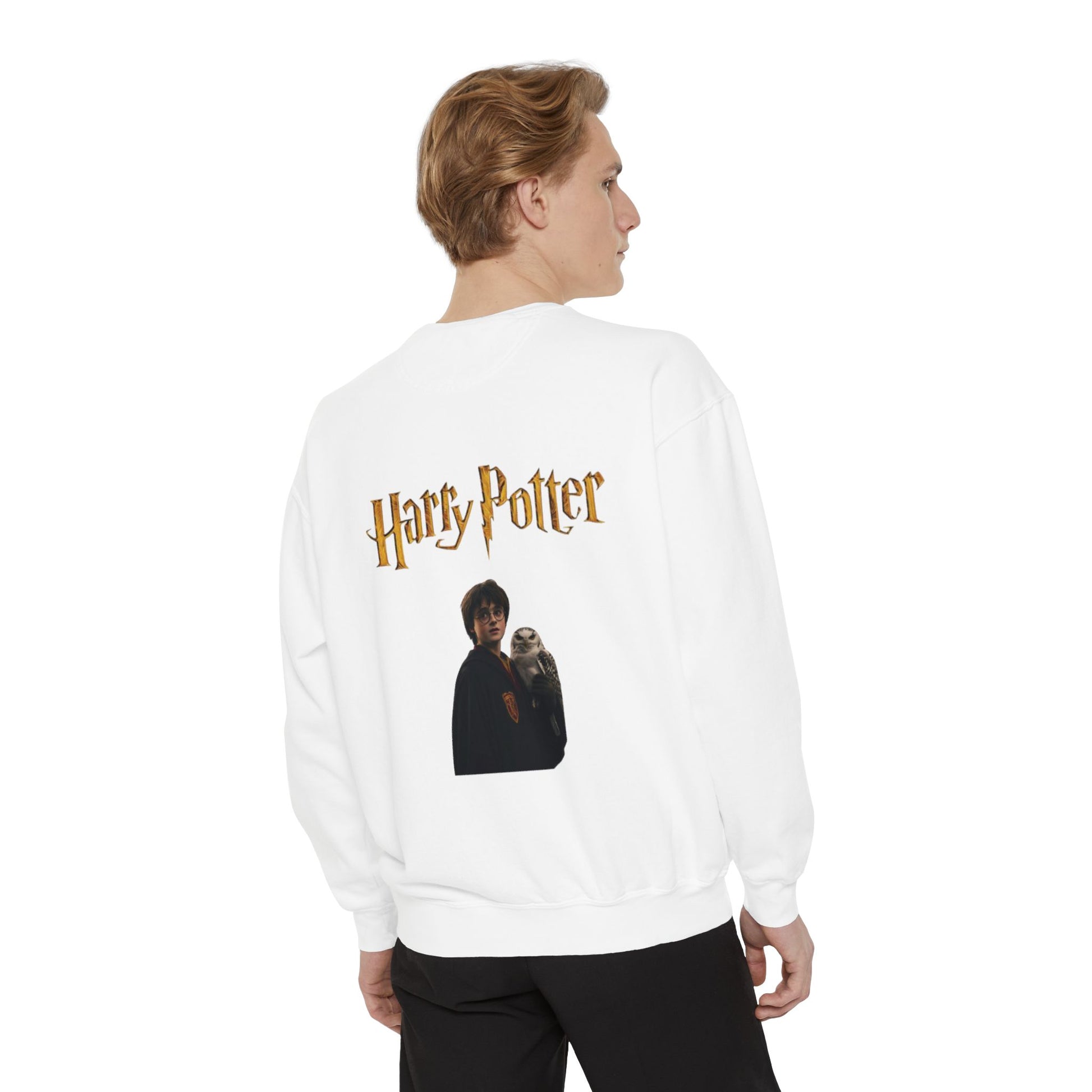 Harry Potter Unisex Sweatshirt, Cozy Sweatshirt, Gift for Potterheads, Movie Merch, Casual Wear, Layering Piece, Fan Apparel