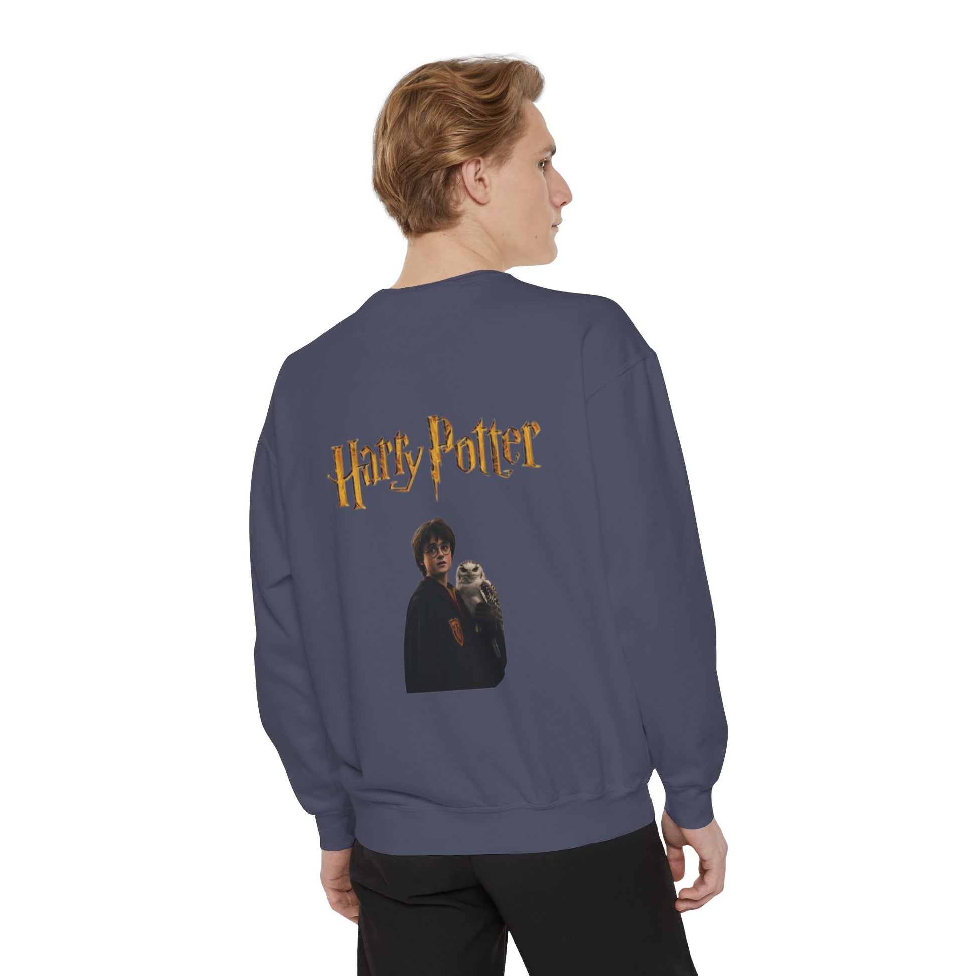 Harry Potter Unisex Sweatshirt, Cozy Sweatshirt, Gift for Potterheads, Movie Merch, Casual Wear, Layering Piece, Fan Apparel