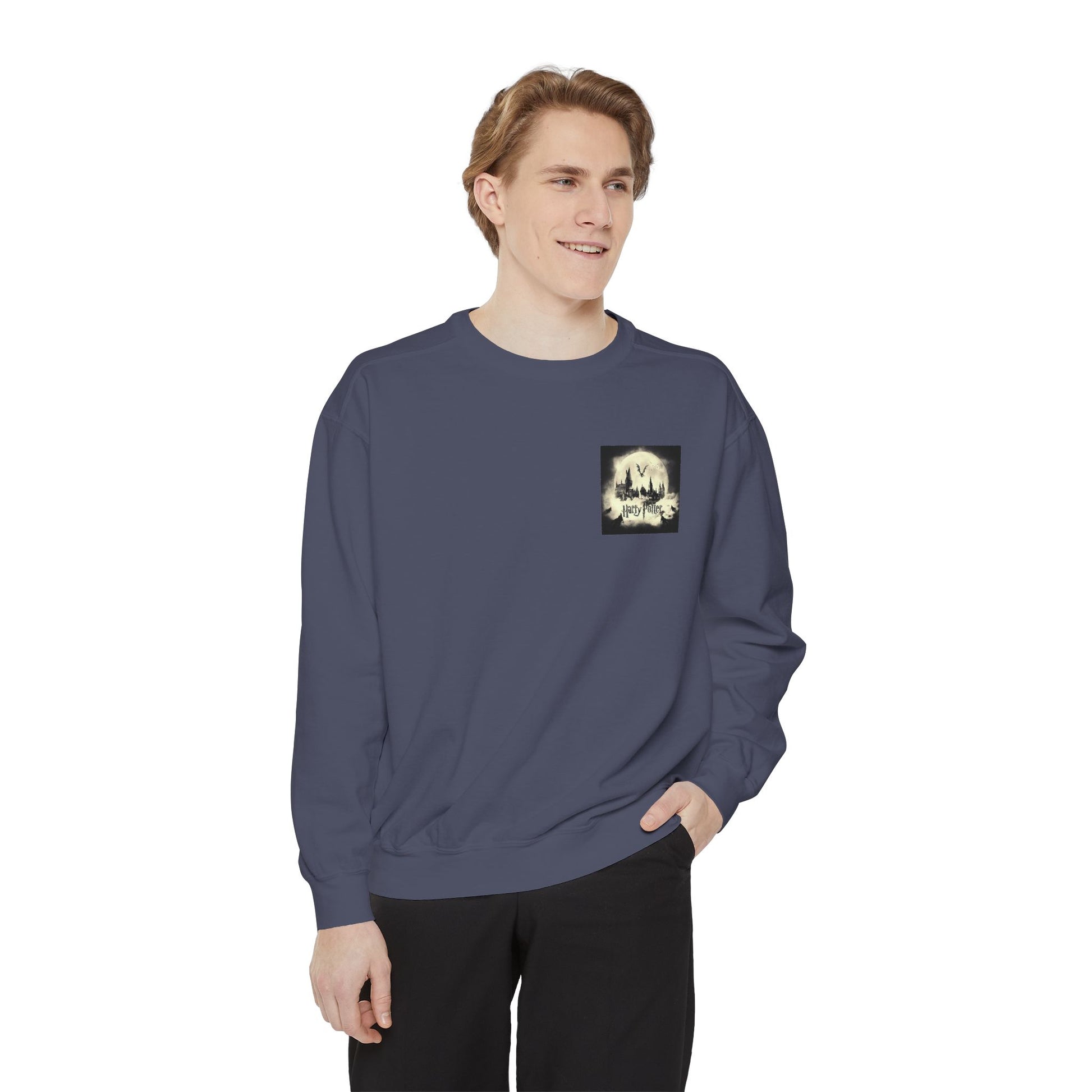 Harry Potter Unisex Sweatshirt, Cozy Sweatshirt, Gift for Potterheads, Movie Merch, Casual Wear, Layering Piece, Fan Apparel